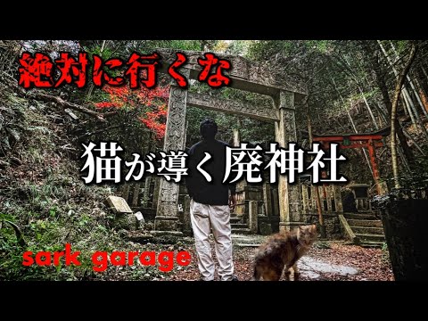 【大岩神社】猫が案内する廃神社！この猫は神の使い？廃墟にある不思議な鳥居は異世界への入口！