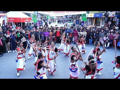 Stick Dance हेर्दै तीन छक्क पर्नी लाठी नाचँ Nepali Tharu Culture | Pokhara Street Festival