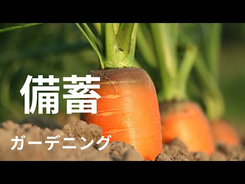 食糧備蓄【家庭菜園】2年目の春到来＜2023 ＞