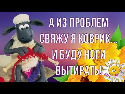 Утром! Вечером и Днем - Пусть Везет Всегда во Всем! Пусть Все Будет Супер! Лови Позитив!