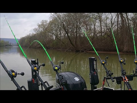 MONSTER FISH Live In This BACKWATER CREEK!! (Spring Fishing)