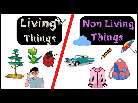 Living and Non-Living Things for Kids | Fun Learning with Examples!