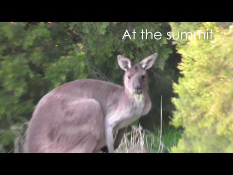 Sunset at Mt Lofty Summit & Mt Lofty Botanic Gardens - Adelaide Hills, South Australia