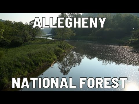 Hammock Camping the North Country Scenic Trail - Allegheny National Forest - PA182-PA233