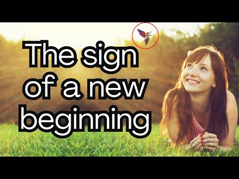 This is YOUR SIGN For Your New Life {Angel Messages}🌈