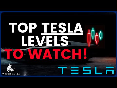 Tesla Stock Price Analysis | Top Levels To Watch for December 19th, 2024