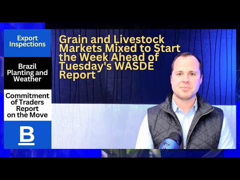 Grain and Livestock Markets Mixed to Start the Week Ahead of Tuesday's WASDE Report