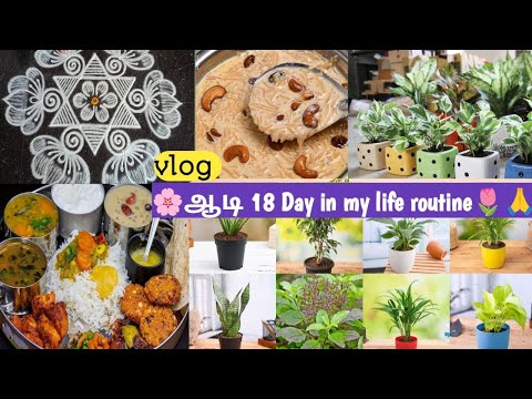 #vlog💁‍♀️ Adai peruku special/ஆடி18 Day in my life routine🌷🌸/caramel payasam recipe in Tamil