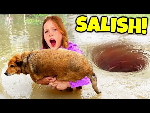 7 YouTubers Who SAVED ANIMALS LIVES! (Salish Matter, Jordan & Nidal)