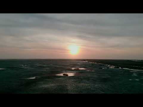 dji mini 3 pro freewell 濾鏡 福寶濕地5-6級風VLOG測試