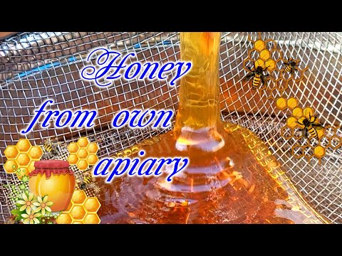 Honey from own apiary ||Мед з власної пасіки.