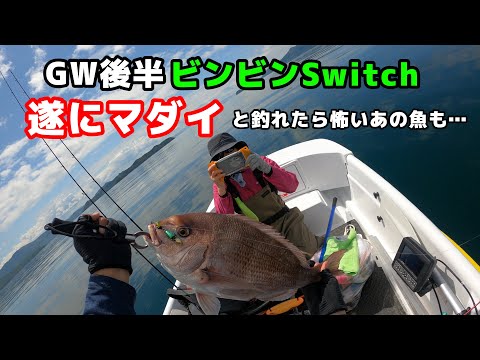 【ミニボート釣行】久々のマダイと釣れたら恐怖なあの魚が…IN天草