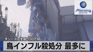 今シーズン全国998万羽　鳥インフル殺処分 最多に【モーサテ】（2023年1月10日）