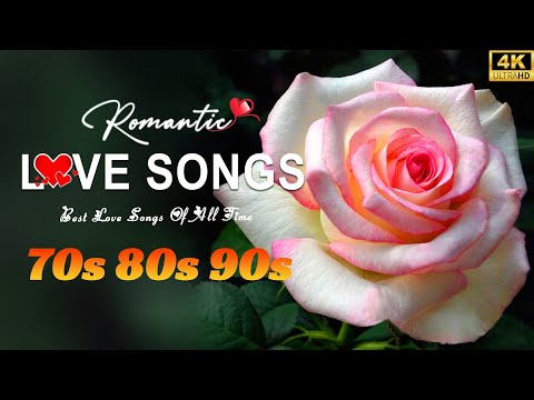 Most Beautiful Sweet Love Songs 2024 - Most Beautiful Love Songs About Falling In Love Collection