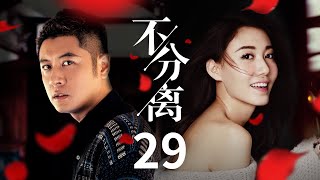 都市情感电视剧 |【不分离】29 都市女惨遭闺蜜插足 相亲又能否获得真爱 | 任重 高露