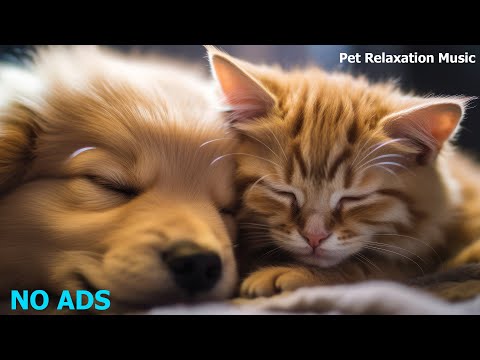 🐶Relaxing Music To Calm Pets 💛 MUSIC THERAPY For Restless Or Nervous Cats And Dogs