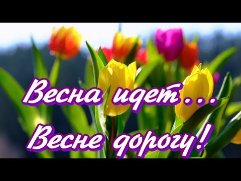 Весна идет...Весне дорогу!