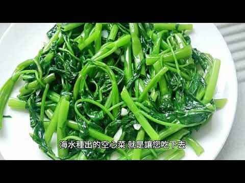 養好水 吃好魚 學種菜 做永續不能少了您