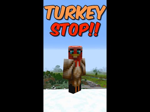 Stop Turkey Minecraft#Shorts