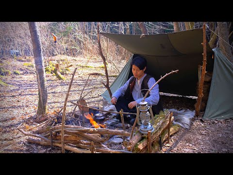 SOLO Bushcraft Camping in American Military Tent (Japan forest)