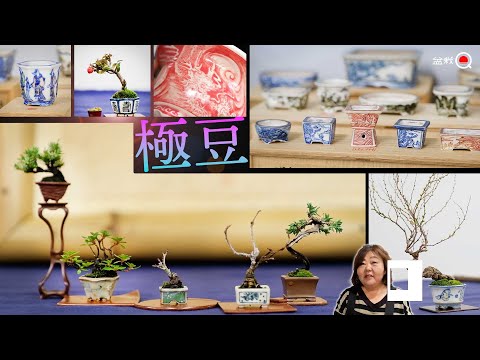 The exhibition of mame bonsai and mame pots was amazing [Bonsai Q]