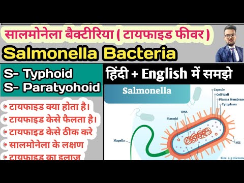 Salmonella Bacteria | Typhoid | Enteric Fever| Typhoid Fever| Paratyphoid Fever| Widal Test in hindi