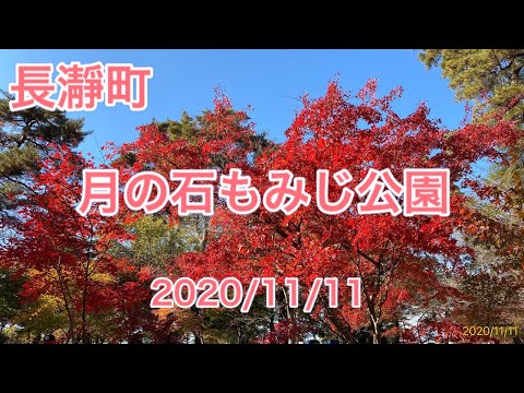 長瀞町の紅葉 月の石もみじ公園 2020/11/11