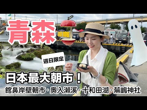 青森 | 日本東北 | 奧入瀨溪、十和田湖、館鼻岸壁朝市、蕪嶋神社 | 2023東京自由行 8天7夜 Vlog EP.3 把蟲吃下去需要一點勇氣！