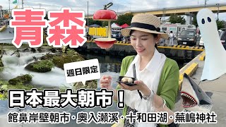 青森 | 日本東北 | 奧入瀨溪、十和田湖、館鼻岸壁朝市、蕪嶋神社 | 2023東京自由行 8天7夜 Vlog EP.3 把蟲吃下去需要一點勇氣！