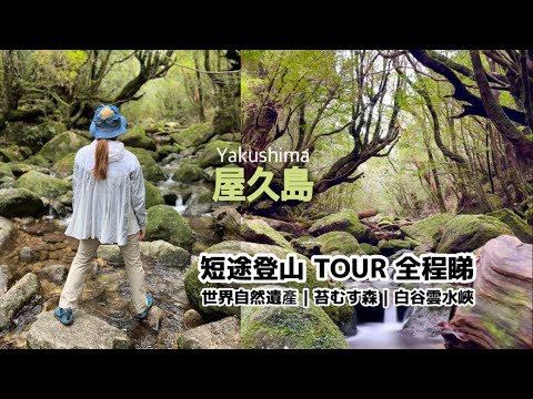 [鹿兒島EP3] 日本行山｜屋久島世界自然遺產｜短途登山TOUR 全程睇｜ 屋久島飛魚料理｜ 宮崎駿幽靈公主作品取景｜ 青苔森林｜ 白谷雲水峽｜YAKUSHIMA｜苔むす森