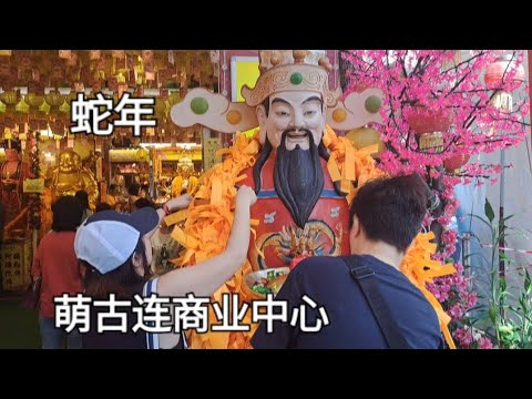 蛇年＊萌古连商业中心/The Bencoolen＊Year of Snake