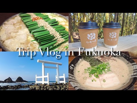 [ Fukuoka Travel Vlog ] Hakata gourmet food tour, Itoshima sightseeing for 2 nights and 3 days