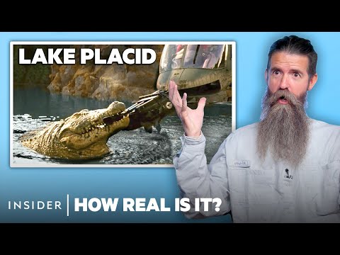 Crocodile Wrangler Rates 12 Alligator Attacks In Movies And TV | How Real Is It? | Insider