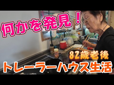 【トレーラーハウス生活】里芋にも相性抜群　ギノー味噌　#353