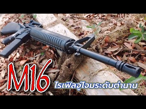 ไรเฟิลจู่โจม M16 วิธีการถอดประกอบและล้างทำความสะอาด