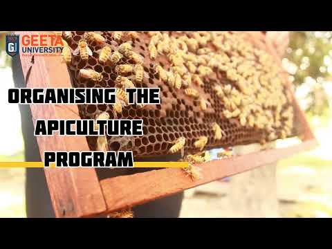 Beekeeping at Geeta University 🐝|| School of Agriculture studies