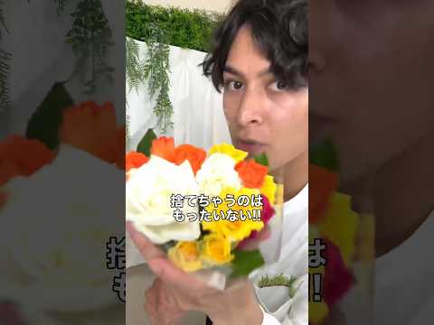 バラの花から根っこが生えてくる🙄🌹｜そらベジ🥝ガーデンハック