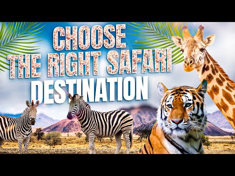 How to Choose the Best Safari Destination in 2022?