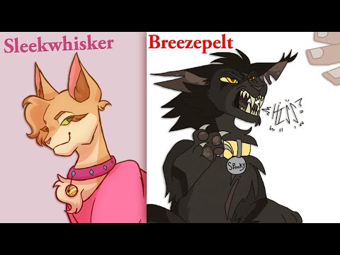 Warrior Cats but EVERYONE is a Kittypet