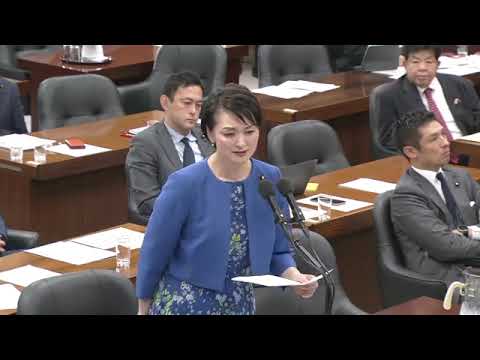 吉田はるみ　2023年11月8日　 衆議院 ・法務委員会