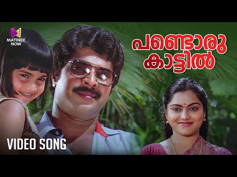 Pandoru Kaattil Video Song | Sandarbham | P Susheela | Johnson | Mammootty | Saritha