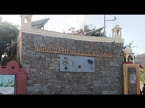 Nahargarh Biological Park. Jaipur.@tenchisatv944