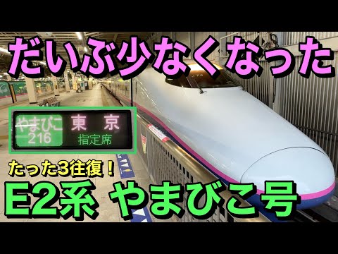 【東北新幹線】E2系やまびこ号に乗ってきた！