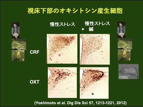 いきいき健康チャンネル『心のケア-3（統合医療）』