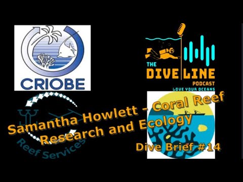 DB14 Samantha Howlett Coral Reef Ecologist tells us how she started diving and where it lead her!