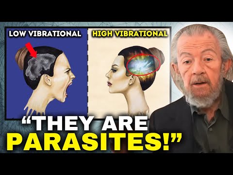 WTF! The Disturbing Truth about Low Vibrational People Exposed