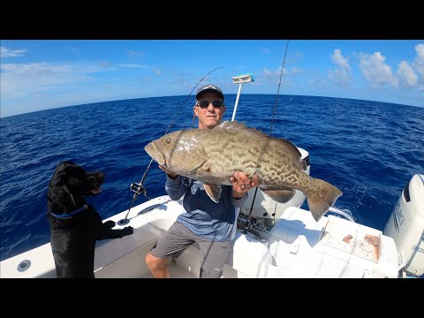 Why Gag Grouper Season is Closed!! MY OPINION