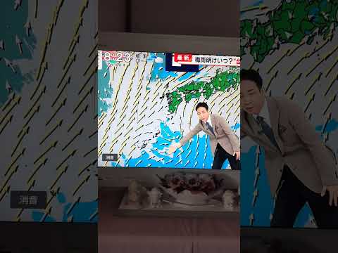 在日韓国人様へ