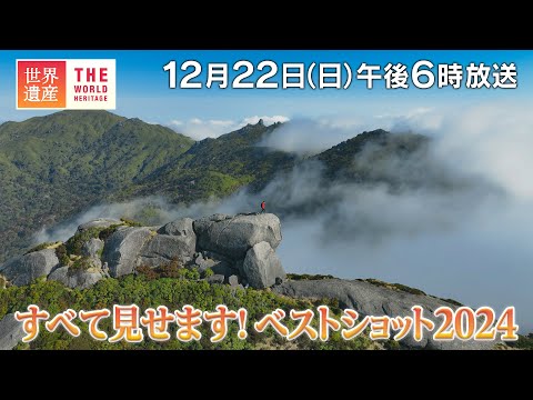 【TBS世界遺産】すべて見せます！ベストショット2024【12月22日午後6時放送】