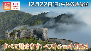 【TBS世界遺産】すべて見せます！ベストショット2024【12月22日午後6時放送】